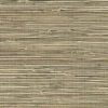 Beige Grasscloth Natural Wallpaper, textured, medium beige