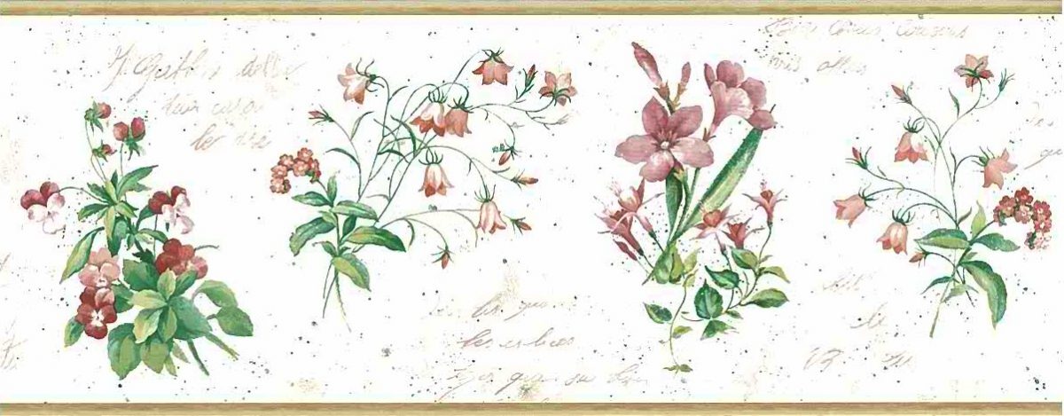 botanical script vintage wallpaper border, alternate view, French, UK, floral, pink, rose, green, cream, italics,anemones, fuchsia