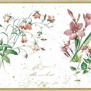 Botanical Script Vintage Wallpaper Border UK Floral IA798310 FREE Ship