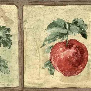 Fruit Vintage Wallpaper Border Kitchen Apples CL91357B FREE Ship