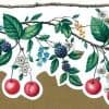 red cherries kitchen vintage wallpaper, border, anemones, blackberries, blue, yellow, green, vines, leaves, bark, cottage, fruit, floral