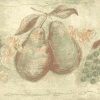orange green fruit vintage wallpaper border, apples, peaches, pears, grapes, beige, faux finish, cottage style