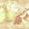 peach fruit vintage wallpaper border, apples, peaches, pears, grapes, lime green, white, faux finish, cottage style, plaster, kitchen