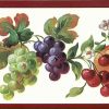 Fruit Medley Vintage Wallpaper Border