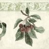 Plums Pears Vintage Wallpaper Border