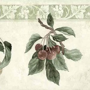 Plums Pears Vintage Wallpaper Border Fruit Kitchen 22556 FREE Ship