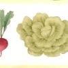 Waverly vegetable vintage border, Kitchen, green, red, yellow, off-white, lettuce, radishes