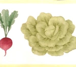 Waverly Vegetable Vintage Border Kitchen Lettuce 576103 FREE Ship