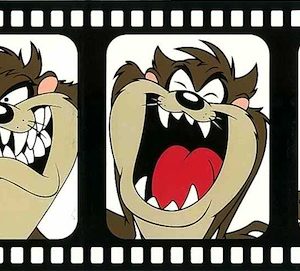 Looney Tunes Kids Wallpaper Border Childrens Tasmanian Devil TTFS2002B FREE Ship