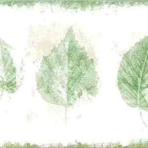 Green Leaf Vintage Wallpaper Border Kitchen 750-2792 FREE Ship