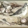 seashells wallpaper border, nautical, seabirds, sandpipers, seagulls, sand, beige, taupe, brown, cream