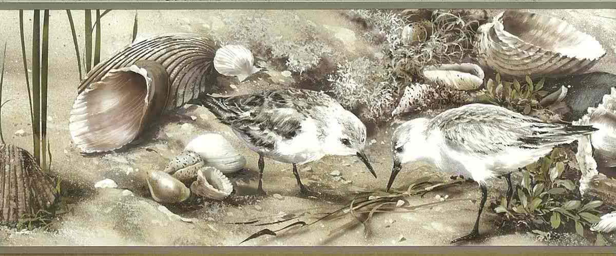 Seashells Wallpaper Border Nautical Bathroom Beige AS4211B FREE Ship - Image 2