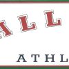 Sports all star wallpaper, border, red, green, white, teenager, recreation room