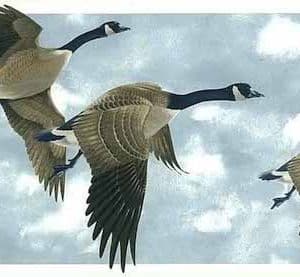 Geese Vintage Wallpaper Border Glen Loates Sky GL76374 FREE Ship