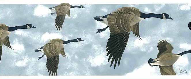 Geese vintage wallpaper border Glen Loates GL76374