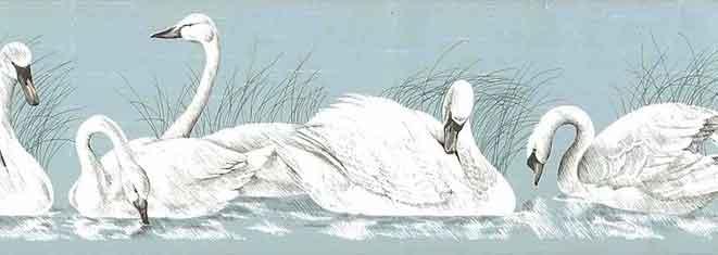 Swans Wallpaper Border