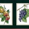 Green Fruit vintage Wallpaper Border, white, gold edging, plums, grapes, putple