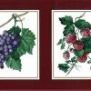 Vintage Waverly Framed Fruit Wallpaper Border in Cranberry Red
