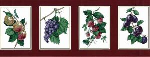 Vintage Waverly Framed Fruit Wallpaper Border in Cranberry Red