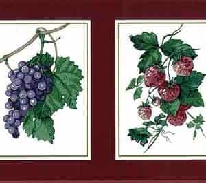 Waverly Fruit Vintage Wallpaper Border Red Kitchen 570522 FREE Ship