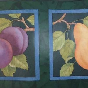 Vintage Green Framed Fruit Wallpaper Border Kitchen CTC263B FREE Ship