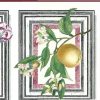 botanical Waverly vintage Wallpaper Border, pink, green, white, Audobon