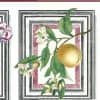 botanical Waverly vintage Wallpaper Border, pink, green, white, Audobon