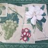 Green Botanical Wallpaper Border with aged photos on woven background