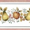 Red Fruit Wallpaper Border with vintage speckled edges