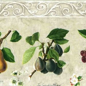 Cream Fruit Botanical Wallpaper Border Kitchen Vintage JD1071B FREE Ship