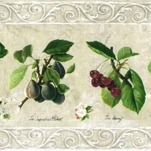 Cream Fruit Botanical Wallpaper Border Kitchen Vintage JD1071B FREE Ship