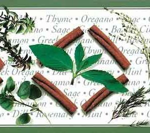Herbs Vintage Wallpaper Border Kitchen Green RL1006B FREE Ship