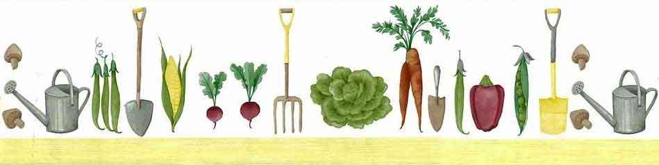 Vintage Waverly Vegetable Garden Wallpaper Border on White with Yellow Edge