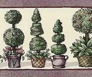 Topiaries Vintage Wallpaper Border Green Kitchen Floral SV2173B FREE Ship