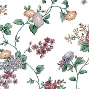 Morning Glories Floral Vintage Wallpaper Lavender Cottage VK5086 D/Rs