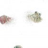 vintage wallpaper seashells bathroom, beige, off-white, rose, green, scallop shells, bathroom vintage wallpaper