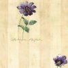 script striped vintage wallpaper, purple, beige, floral, flowers, green, bedroom