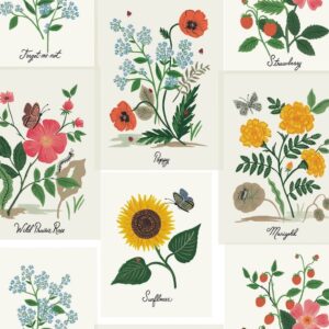 Rifle Botanical Prints Wallpaper RP7334 Floral Rose-Pink Yellow