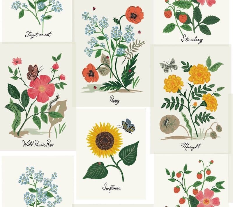 Rifle Botanical Prints Wallpaper