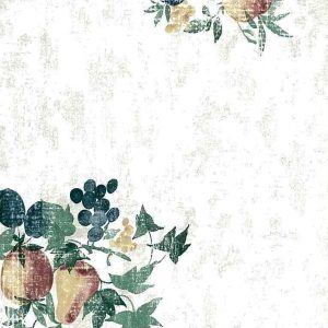 Fruit Ivy Wallpaper Kitchen Green Blue Matching Border CK3444 D/Rs