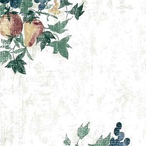 Fruit Ivy Wallpaper Kitchen Green Blue Matching Border CK3444 D/Rs