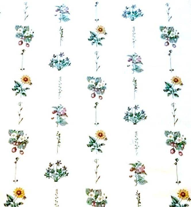 Top 86+ vintage kitchen wallpaper patterns - 3tdesign.edu.vn