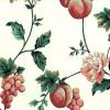 Peach Floral Vintage Wallpaper in White, Rose, & Green