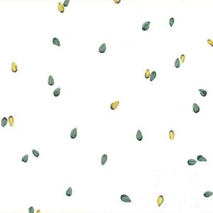 Squash Seeds Vintage Wallpaper Green Yellow Kitchen KB901 D/Rs