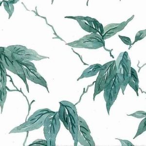 Leaves Vintage Wallpaper Green Vines White Kitchen TM2063 D/Rs