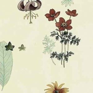 Waverly Botanical Vintage Wallpaper Ferns Kitchen Floral 572441 D/Rs